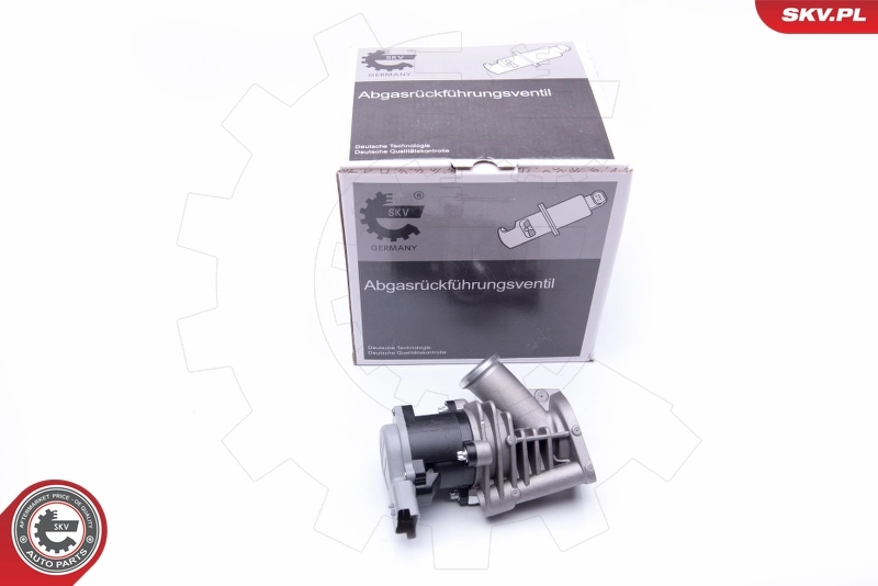 EGR Valve